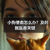 小狗便血怎么办？及时就医是关键（图1）