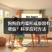 狗狗白内障形成原因有哪些？科学应对方法（图3）