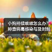 小狗持续咳嗽怎么办？排查病毒感染与及时就医建议（图2）