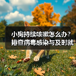 小狗持续咳嗽怎么办？排查病毒感染与及时就医建议（图3）