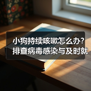 小狗持续咳嗽怎么办？排查病毒感染与及时就医建议（图1）