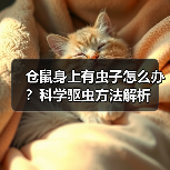 仓鼠身上有虫子怎么办？科学驱虫方法解析（图4）