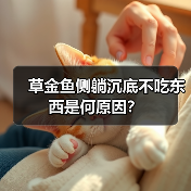 草金鱼侧躺沉底不吃东西是何原因？（图2）