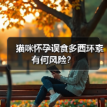猫咪怀孕误食多西环素有何风险？（图2）