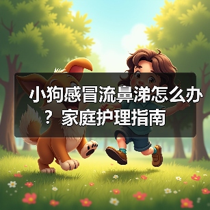 小狗感冒流鼻涕怎么办？家庭护理指南（图3）