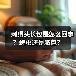 刺猬头长包是怎么回事？蜱虫还是脓包？（图4）