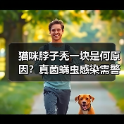 猫咪脖子秃一块是何原因？真菌螨虫感染需警惕（图4）