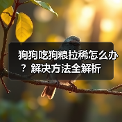 狗狗吃狗粮拉稀怎么办？解决方法全解析（图1）