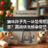 猫咪脖子秃一块是何原因？真菌螨虫感染需警惕（图2）