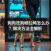 狗狗吃狗粮拉稀怎么办？解决方法全解析（图3）