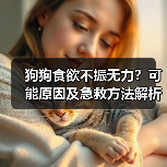 狗狗食欲不振无力？可能原因及急救方法解析（图3）
