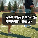 狗狗打疫苗后发抖没精神咳嗽是什么病因?(图4) 狗狗打疫苗后发抖没精神咳嗽是什么病因?(图4)