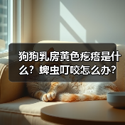 狗狗乳房黄色疙瘩是什么？蜱虫叮咬怎么办？（图2）