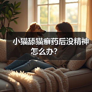 小猫舔猫癣药后没精神怎么办？（图4）