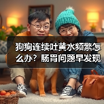 狗狗连续吐黄水频繁怎么办？肠胃问题早发现（图4）