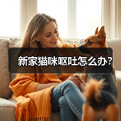 新家猫咪呕吐怎么办？（图3）