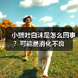小猫吐白沫是怎么回事？可能是消化不良（图1）