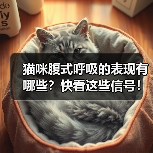 猫咪腹式呼吸的表现有哪些？快看这些信号！（图4）