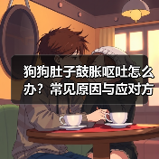 狗狗肚子鼓胀呕吐怎么办？常见原因与应对方法（图4）