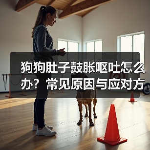 狗狗肚子鼓胀呕吐怎么办？常见原因与应对方法（图1）