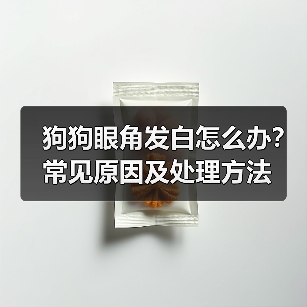 狗狗眼角发白怎么办？常见原因及处理方法（图3）