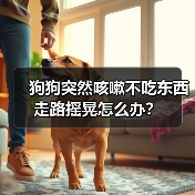狗狗突然咳嗽不吃东西走路摇晃怎么办？（图1）