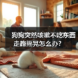 狗狗突然咳嗽不吃东西走路摇晃怎么办？（图3）