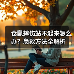 仓鼠摔伤站不起来怎么办？急救方法全解析（图3）