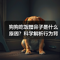 狗狗吃饭蹭鼻子是什么原因？科学解析行为背后的真相（图4）
