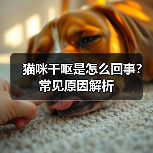 猫咪干呕是怎么回事?常见原因解析(图2) 猫咪干呕是怎么回事?常见原因解析(图2)