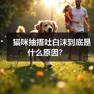 猫咪抽搐吐白沫到底是什么原因？（图4）