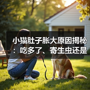 小猫肚子胀大原因揭秘：吃多了、寄生虫还是严重疾病？（图2）