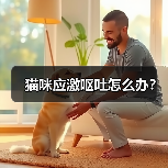 猫咪应激呕吐怎么办？（图3）