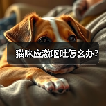 猫咪应激呕吐怎么办？（图1）