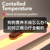 狗狗营养不良怎么办？如何正确治疗全解析（图4）