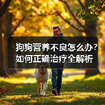 狗狗营养不良怎么办？如何正确治疗全解析（图2）