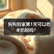 狗狗到家第1天可以吃羊奶粉吗？（图3）