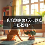 狗狗到家第1天可以吃羊奶粉吗？（图4）