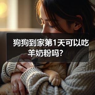 狗狗到家第1天可以吃羊奶粉吗？（图2）