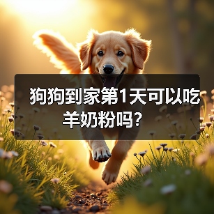 狗狗到家第1天可以吃羊奶粉吗？（图1）
