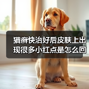 猫癣快治好后皮肤上出现很多小红点是怎么回事？（图1）