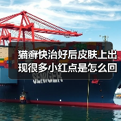猫癣快治好后皮肤上出现很多小红点是怎么回事？（图2）