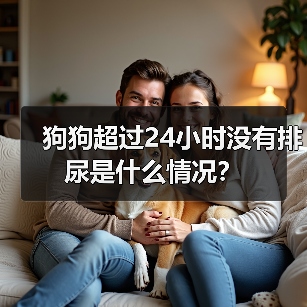 狗狗超过24小时没有排尿是什么情况？（图1）