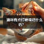 猫咪有点打喷嚏吃什么药？（图3）