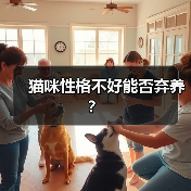 猫咪性格不好能否弃养?(图3) 猫咪性格不好能否弃养?(图3)