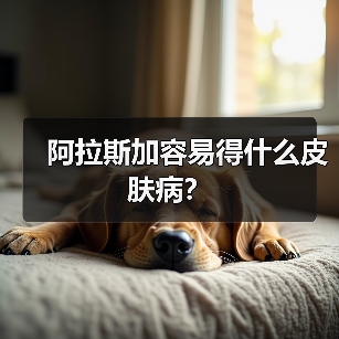 阿拉斯加容易得什么皮肤病？（图4）