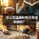 怎么知道猫咪有没有感染猫癣？（图4）