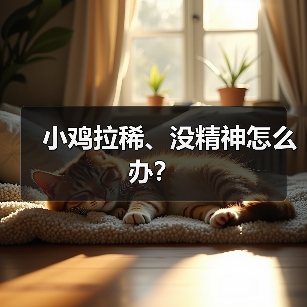 小鸡拉稀、没精神怎么办？（图2）