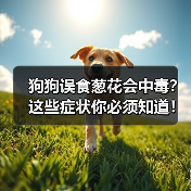 狗狗误食葱花会中毒？这些症状你必须知道！（图3）
