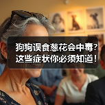 狗狗误食葱花会中毒？这些症状你必须知道！（图1）
